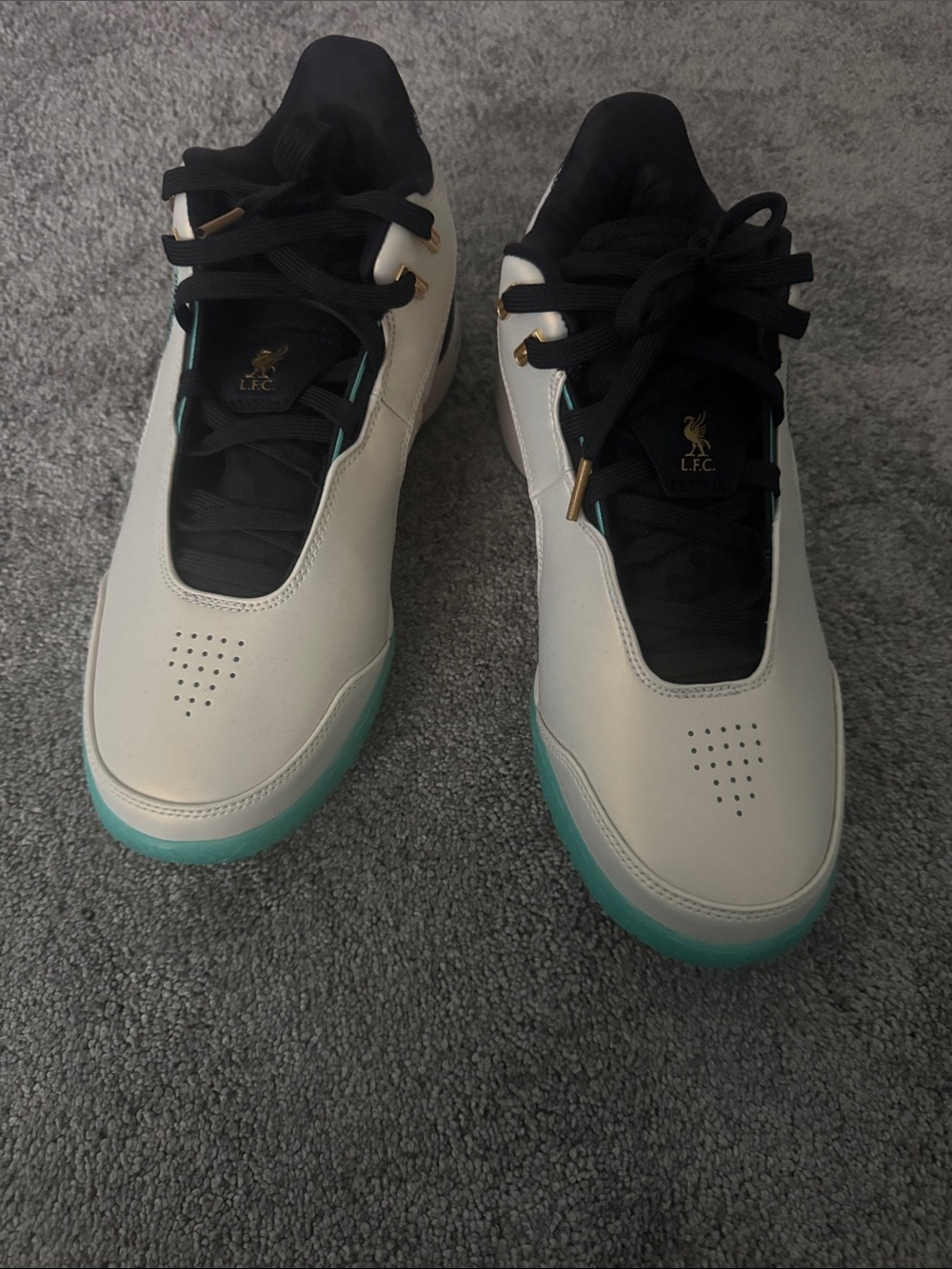 Nike LeBron’s-new
